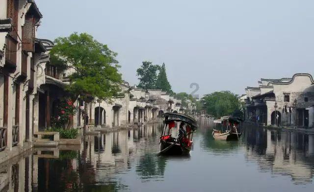 为什么北方人(如东北)在冬天会囤很多大白菜-专业红迪网平台